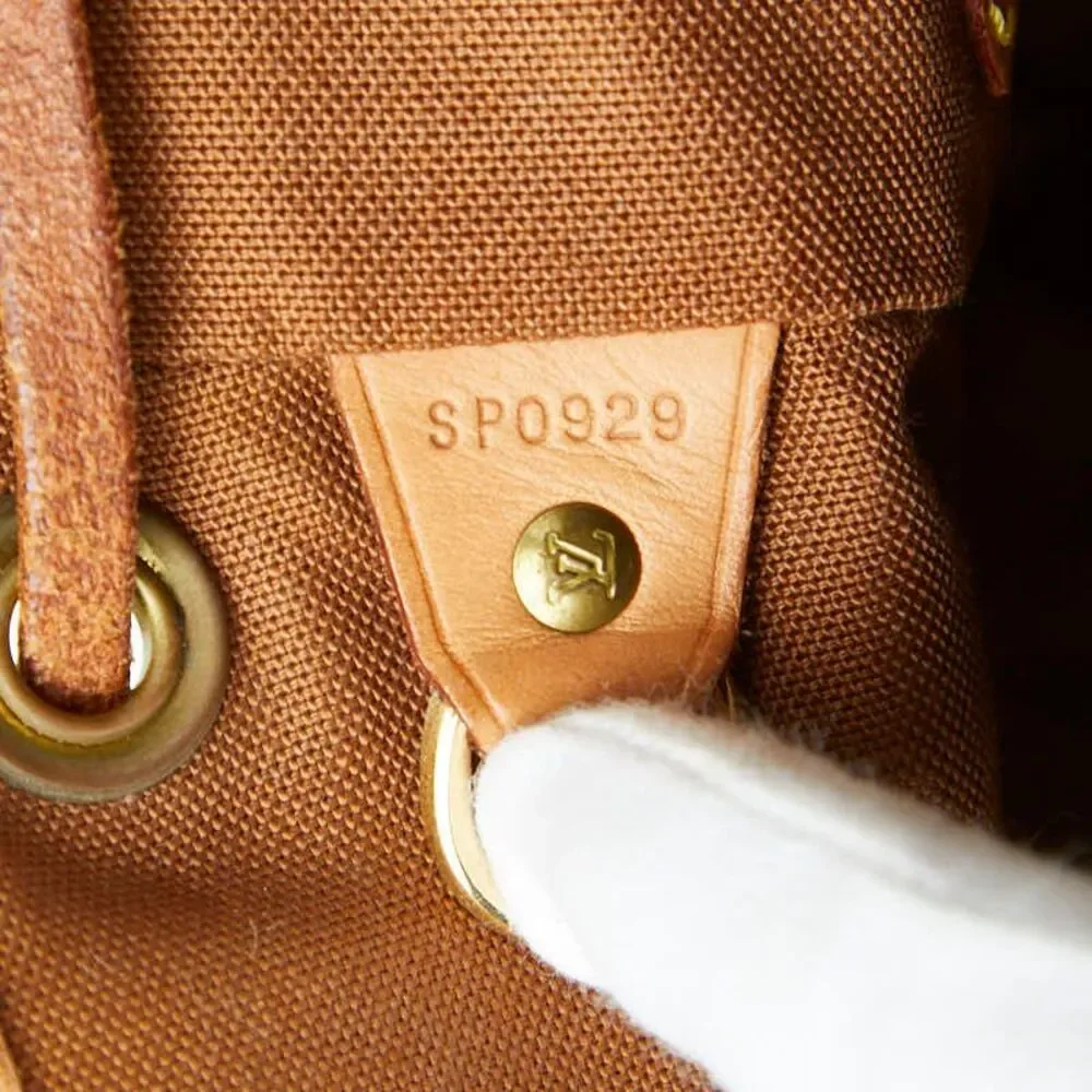 Louis Vuitton Montsouris MM Backpack